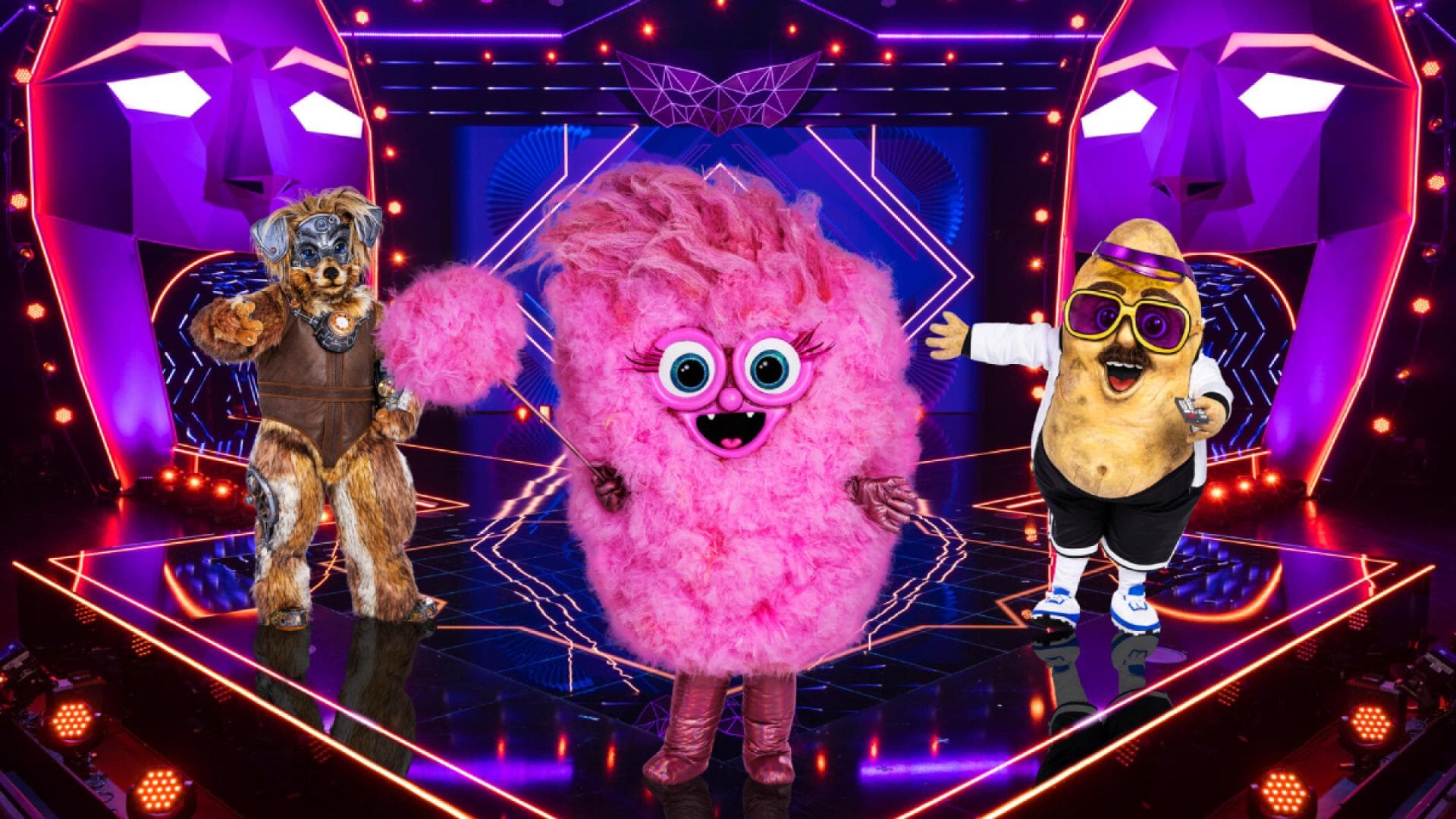 "The Masked Singer 2024" Die Kostüme und Hinweise zu Promis