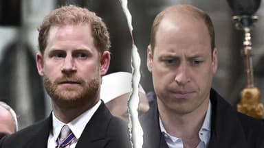 Prinz Harry und Prinz William gucken traurig