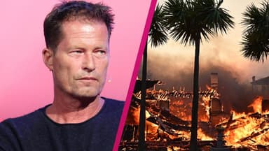 Collage Til Schweiger und Waldbrände L.A.