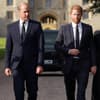 Prinz Harry und Prinz William zeigen sich trauernden Royal-Gästen in Windsor nach dem Tod von Königin Elizabeth II-