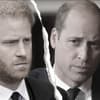 Prinz Harry und Prinz William ernst 