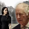 Prinz Harry, Herzogin Meghan und König Charles III. 