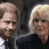 Prinz Harry und Queen Consort Camilla.