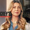 "Grey's Anatomy"-Meredith Grey und Jackson Avery hinterm Logo