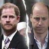 Prinz Harry und Prinz William gucken traurig