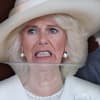 Montage: Queen Camilla entsetzt - König Charles und Prinz Harry küssen sich 