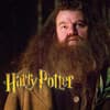 Hagrid in "Harry Potter"