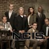 "Navy CIS" Cote de Pablo auf Gruppenbild 