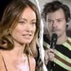 Olivia Wilde sieht angestrengt aus, Harry Styles kneift die Lippen zusammen, in der Mitte ist ein Riss