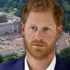 Prinz Harry erstaunt - im Hintergrund der Buckingham-Palast