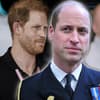 Prinz William schmunzelt, Prinz Harry sieht irritiert aus, Mike Tindall ist verschwommen