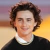 Timothée Chalamet bei der Premiere von Dune