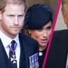 Harry & Meghan ernst, Trump wütend