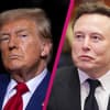 Collage Donald Trump und Elon Musk