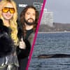 Bill und Tom Kaulitz zeigen sich vom Schicksal des gestrandeten Buckelwals Timmy tief bewegt