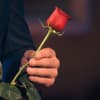 Der Bachelor nimmt eine Rose in die Hand