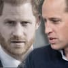 Montage: Prinz Harry und Prinz William ernst