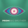 "Promi Big Brother"-Logo