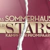 Das Logo zum "Sommerhaus der Stars" mit Riss