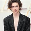 Timothee Chalamet im Glitzerblazer