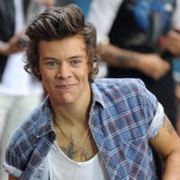 Harry Styles grinst mit geschlossenen Lippen 2013