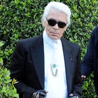 Mode-Zar Karl Lagerfeld präsentierte Anfang der Woche (9.5.) in gewohnt glamouröser Umgebung die Chanel Cruise Collection 2011. Klar ließen sich die Promis diese Einladung nicht entgehen!