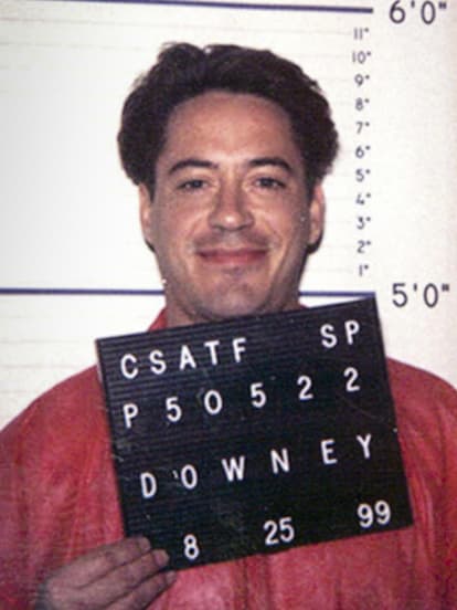 Robert Downey Jr, Mugshot