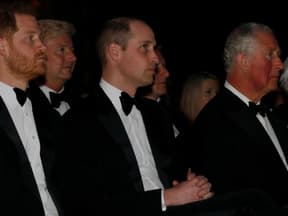 Prinz Harry, Prinz William und König Charles III. sitzen nebeneinander