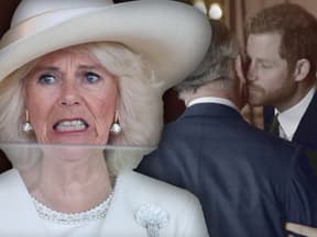 Montage: Queen Camilla entsetzt - König Charles und Prinz Harry küssen sich 