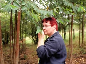 "Bauer sucht Frau International" 2023/2014 (Staffel 6): Ulrike aus Brasilien 