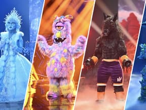 Die 4 Finalisten von "The Masked Singer 2023"