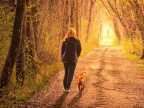 frau geht mit hund im wald spazieren