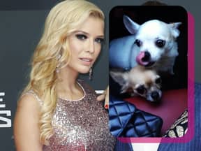 Oksana Kolenitchenko und ihre Hunde Leo und Lilly