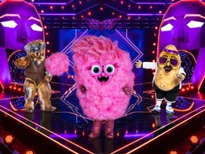 Der Robodog, die Zuckerwatte und die Couchpotato bei "The Masked Singer 2024"