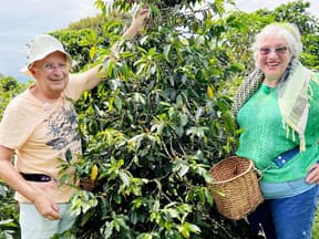 "Bauer sucht Frau International" 2024: Marisol und Sytse bei der Kaffee-Ernte