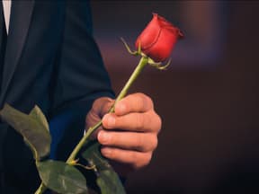 Der Bachelor nimmt eine Rose in die Hand