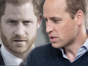 Montage: Prinz Harry und Prinz William ernst