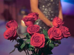 Rosen im Vordergrund, Bachelorette im Hintergrund