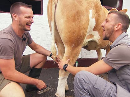 "Bauer sucht Frau" 2022 - Folge 8 - Michael und Jan Hendrik melken gemeinsam eine Kuh und lachen 