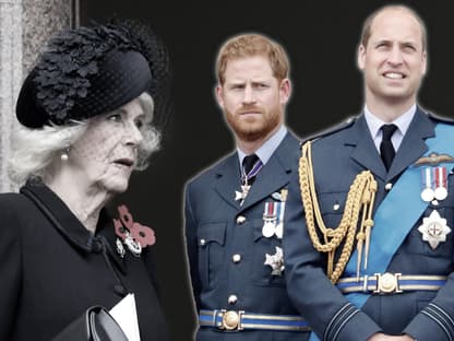 Queen Consort Camilla, Prinz Harry und Prinz William.