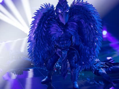 Der Schuhschnabel steht bei "The Masked Singer" auf der Bühne