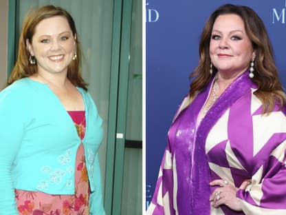 Melissa McCarthy als Sookie St. James