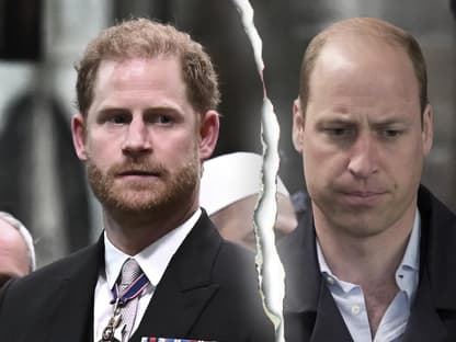 Prinz Harry und Prinz William gucken traurig