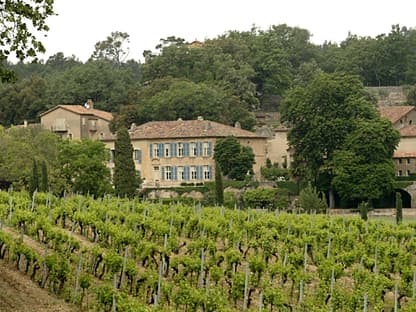 Das Weingut von Brad Pitt und Angelina Jolie