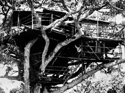 Treetops Lodge in Kenia. 