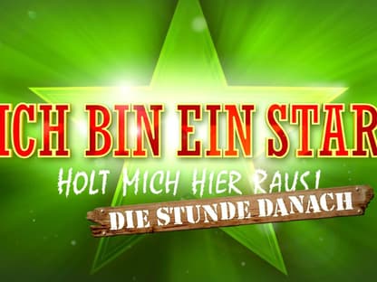 Logo von "Die Stunde danach"