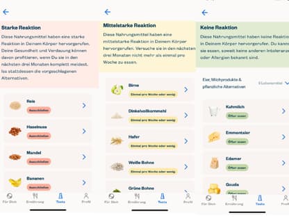 lykon food reaction test ergebnis