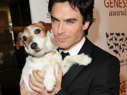 Am Samstagabend wurden in Los Angeles die jährilchen Genesis Awards vergeben. Ein Promi sorgte dabei für die meiste Aufregung - nicht "Vampire Diaries"-Star Ian Somerhalder, sondern "The Artist"-Hund Uggi!