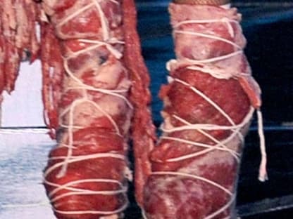 Die Fleisch-Schuhe von Lady GaGa. Aber keine Angst: Es ist "nur" Synthetik