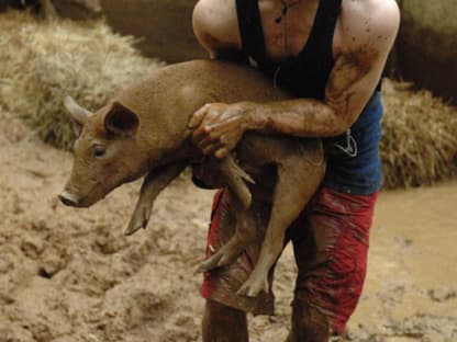 Bei der Schweine-Jagd war Nesthäkchen Joey war erfolgreich